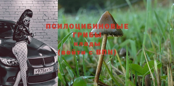 COCAINE Кулебаки