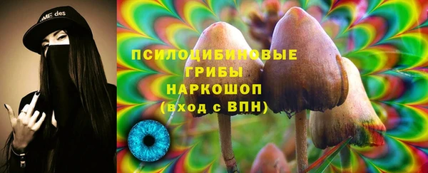 спайс Кукмор