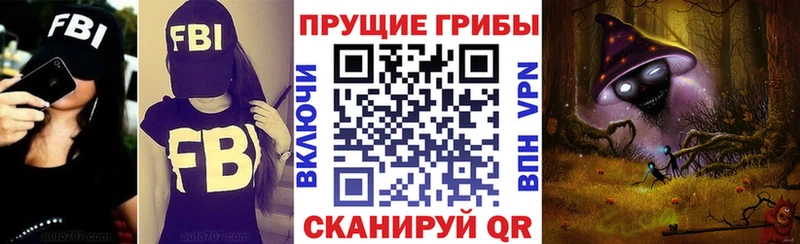 Галлюциногенные грибы мицелий  Избербаш 