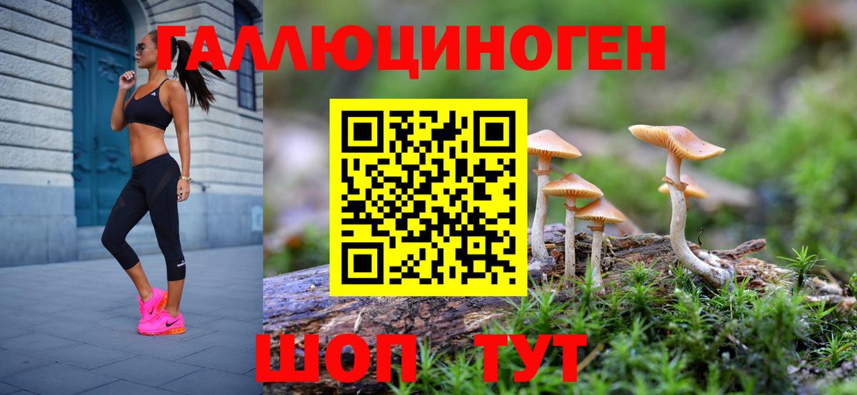 Псилоцибиновые грибы мухоморы Избербаш