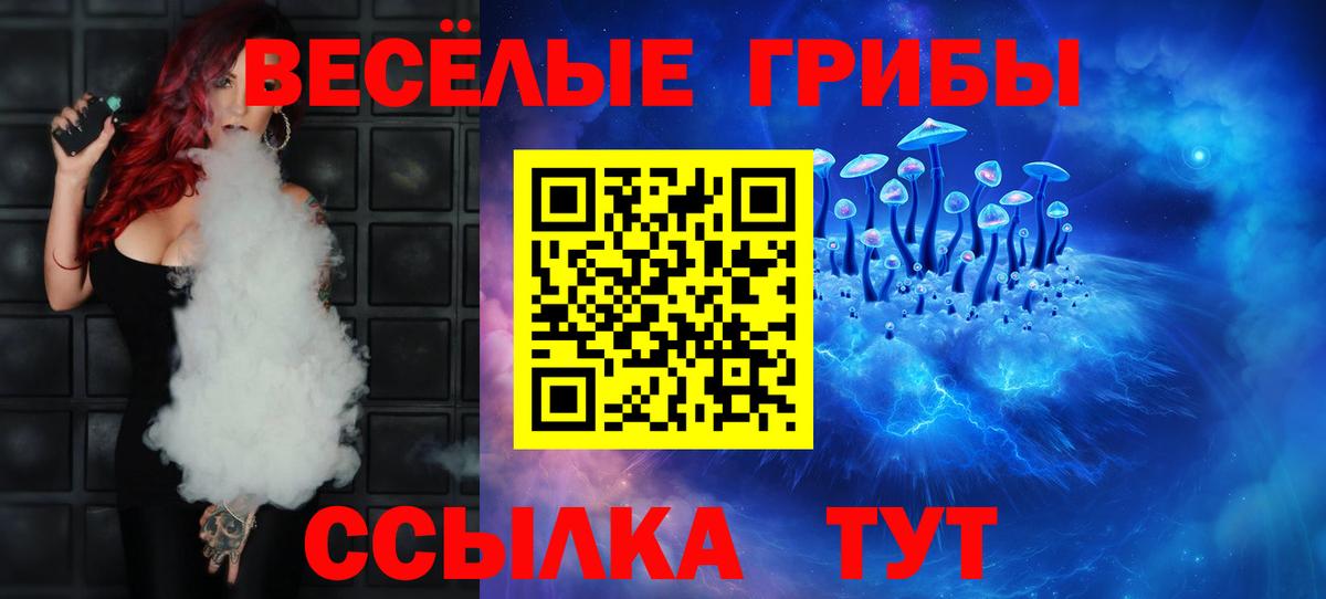 Галлюциногенные грибы Psilocybe  Избербаш 